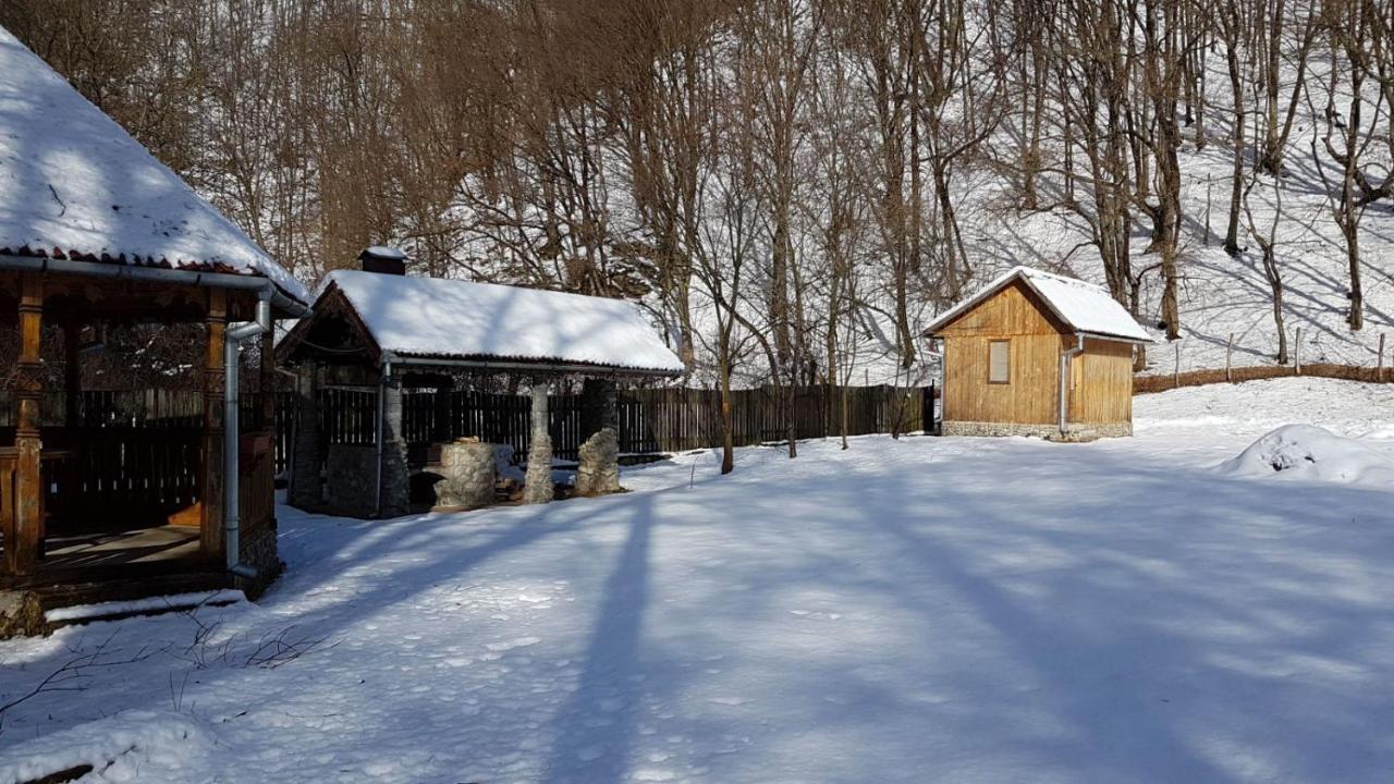 Pensiunea Valea Tonii Strungari Exterior photo